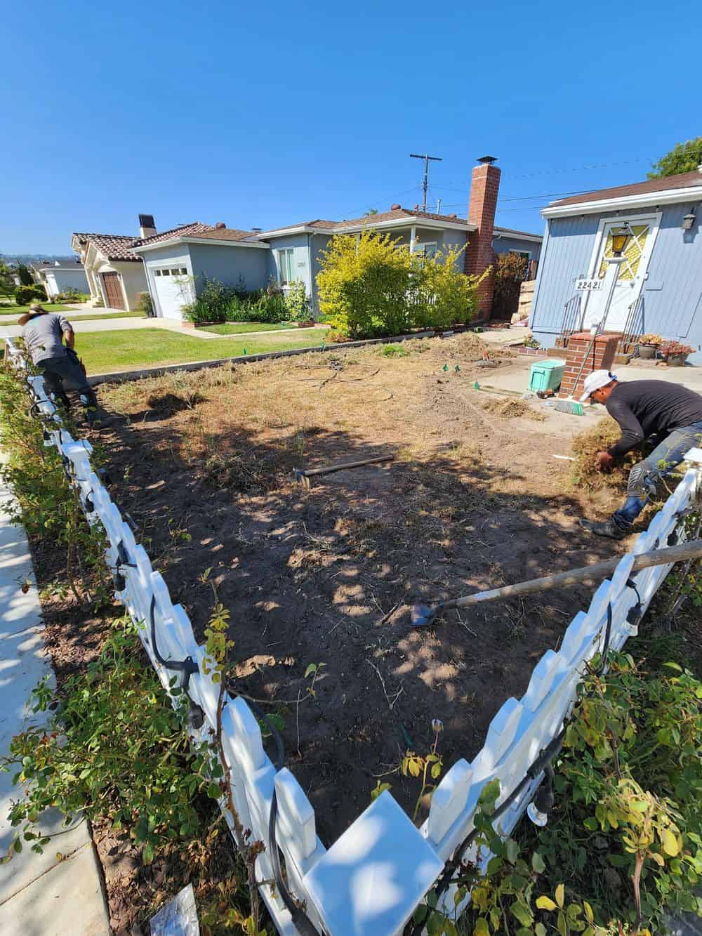 New Sprinkler Installation and Repair image