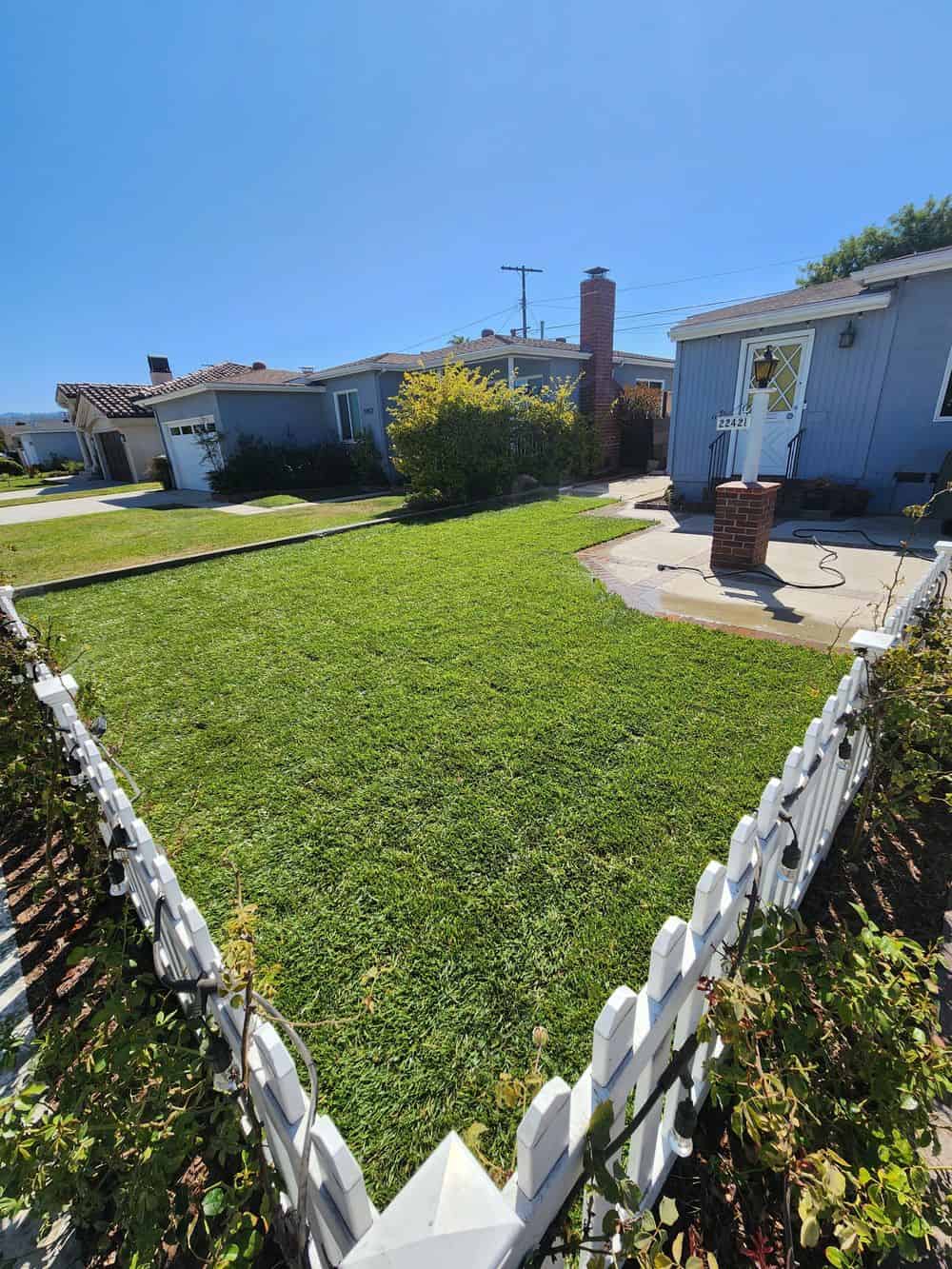 Landscape Maintenance image