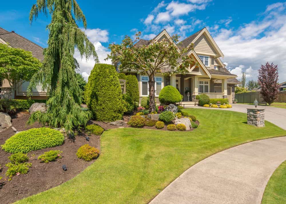 Hero image for Immaculate Landscape Inc.