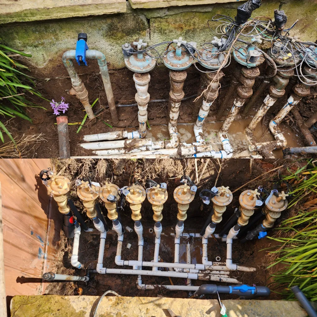 unnamed (1)